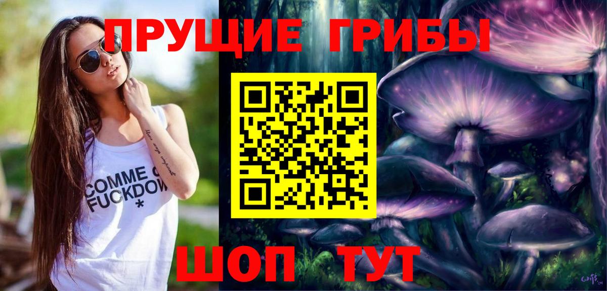 Галлюциногенные грибы Cubensis  Вход с VPN  Избербаш 